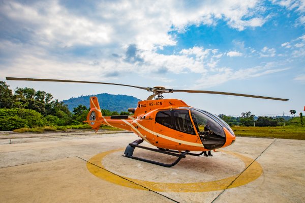 Angelica Extract #043